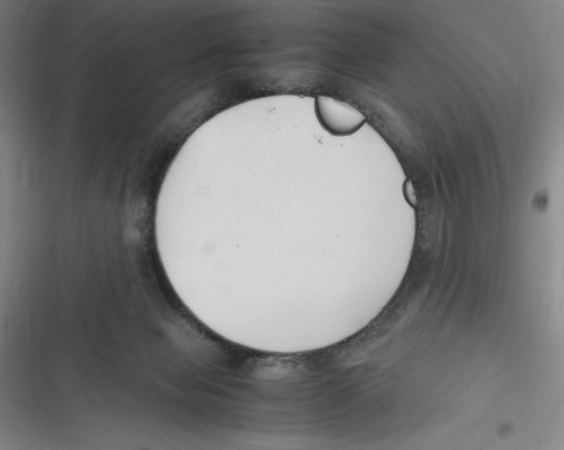 X0000116680077201001111340