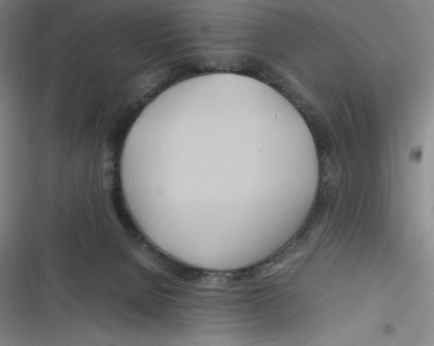 X0000116680080201001111340