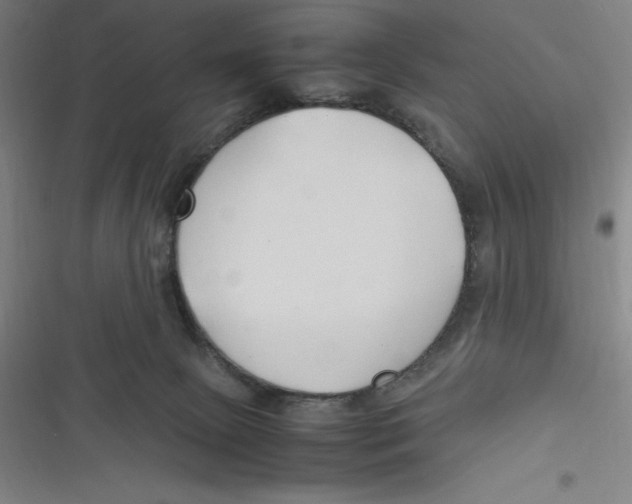 X0000116680081201001111340