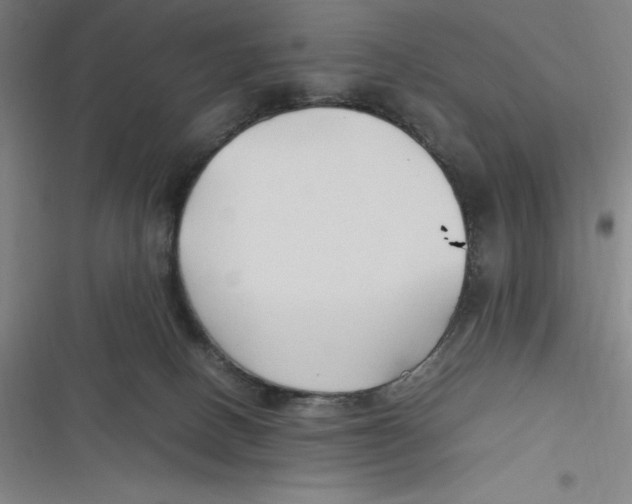 X0000116680082201001111341