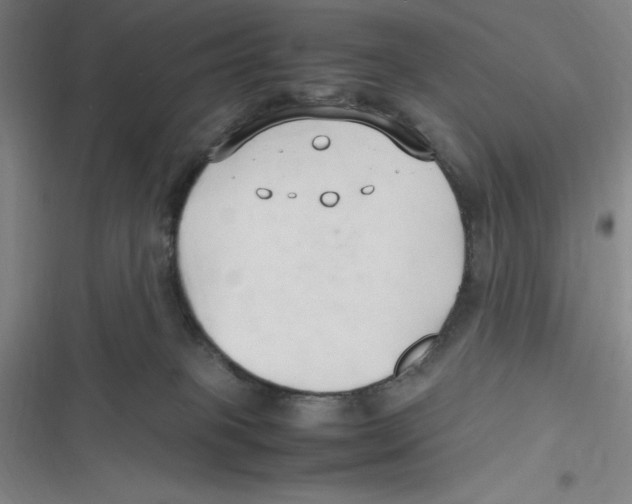 X0000116680085201001111341