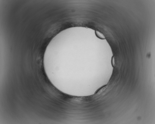 X0000116680086201001111341