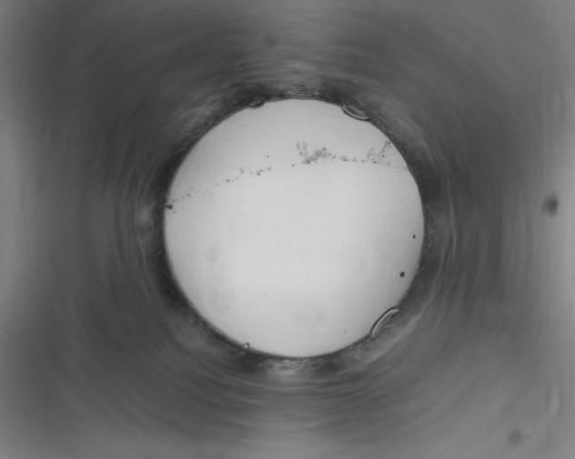 X0000116680088201001111341