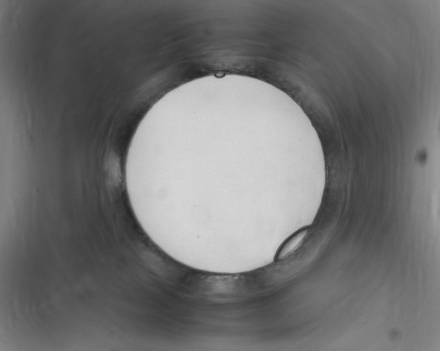 X0000116680089201001111341