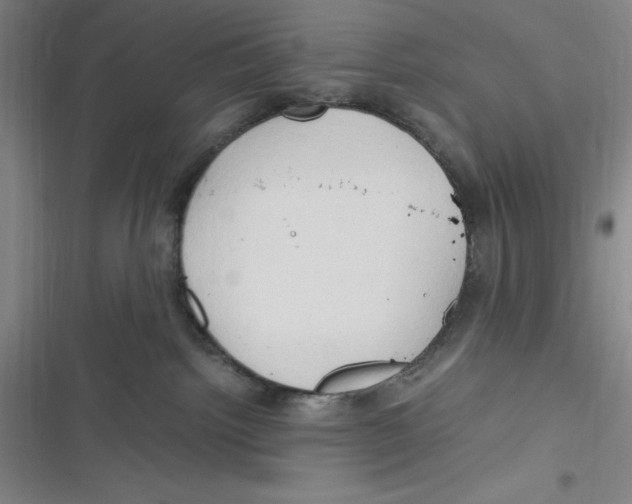 X0000116680092201001111341