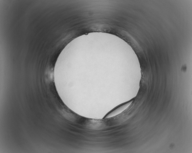 X0000116680095201001111341