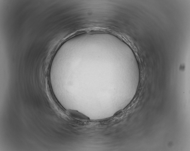 X0000116680097201001111340