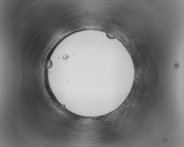 X0000116680098201001111340