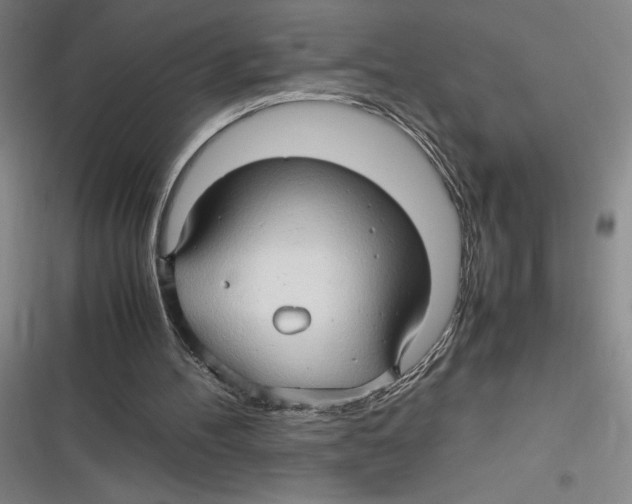 X0000116680100201001111340