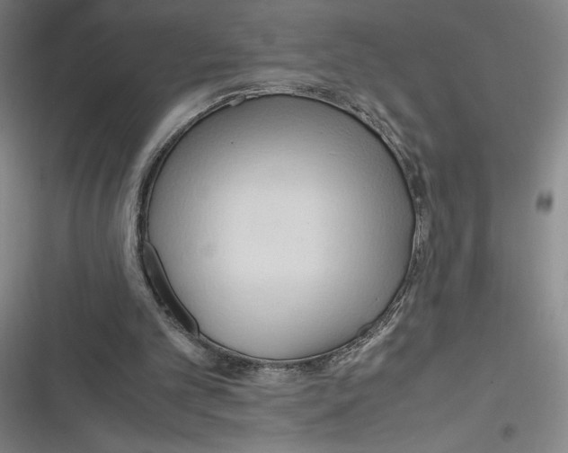 X0000116680101201001111340