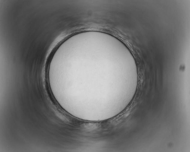 X0000116680102201001111340