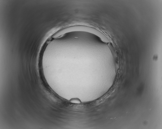 X0000116680104201001111340