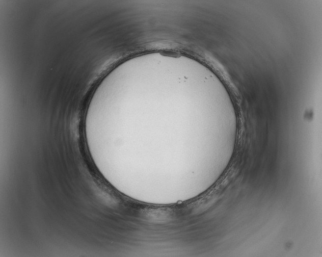 X0000116680106201001111340