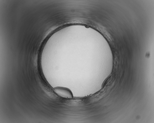 X0000116680108201001111340