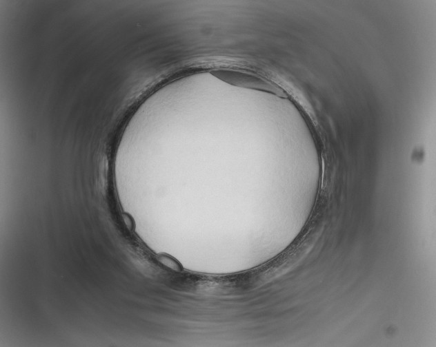 X0000116680109201001111340