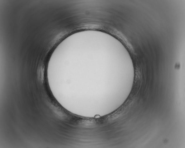 X0000116680110201001111340