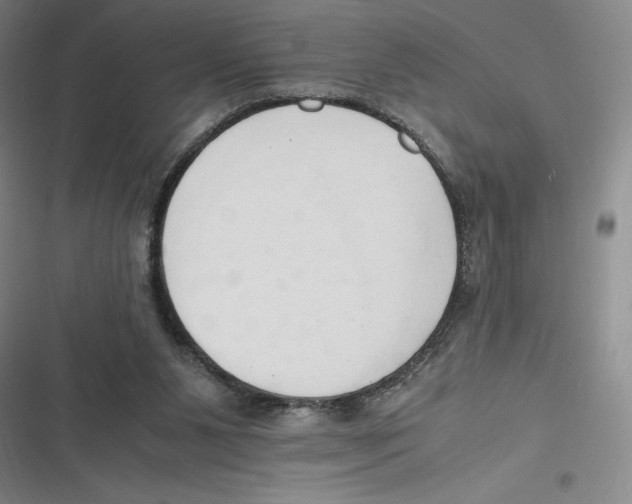 X0000116680111201001111340