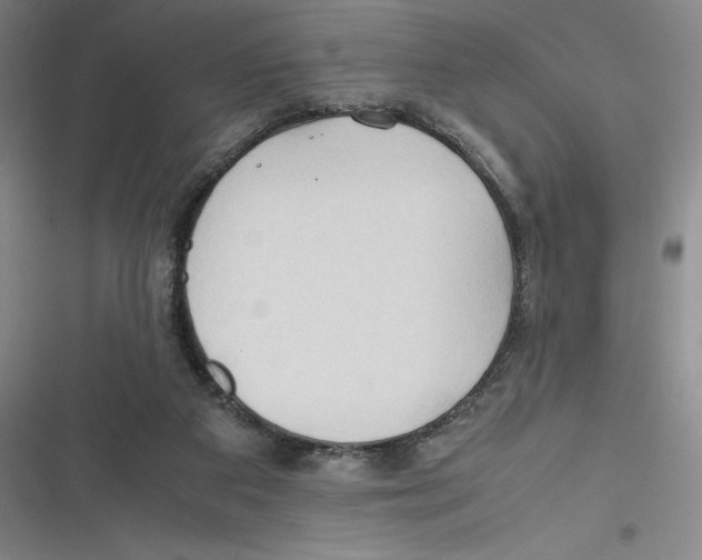 X0000116680113201001111340