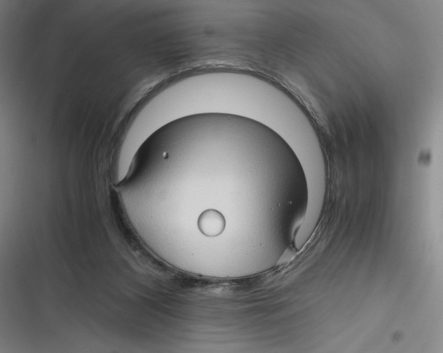 X0000116680116201001111340