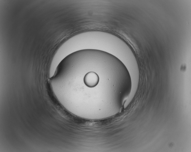 X0000116680117201001111340