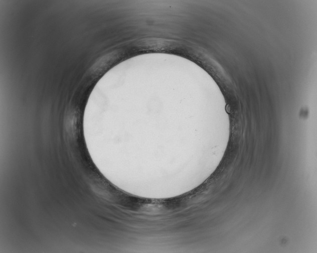 X0000116680119201001111340