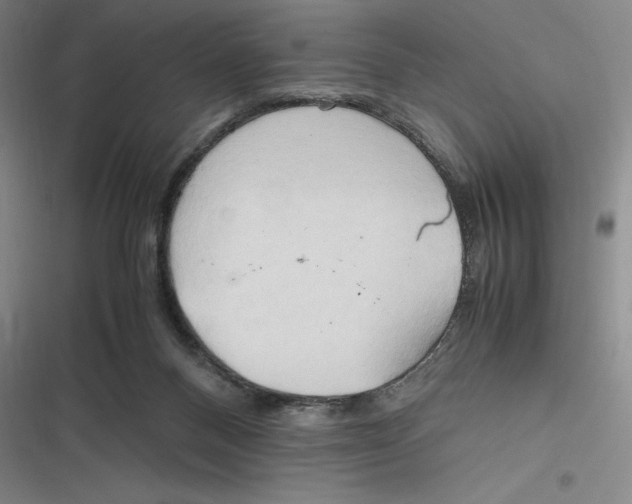 X0000116680120201001111340