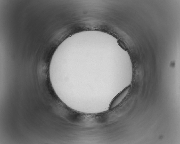 X0000116680121201001111340