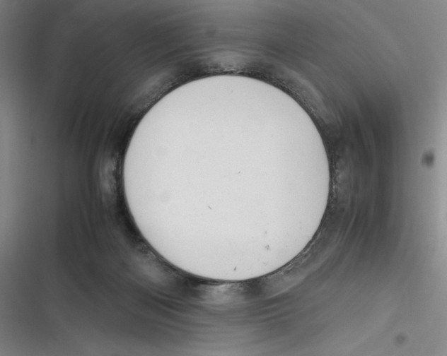 X0000116680122201001111340