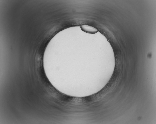 X0000116680123201001111340