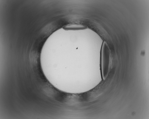 X0000116680125201001111340