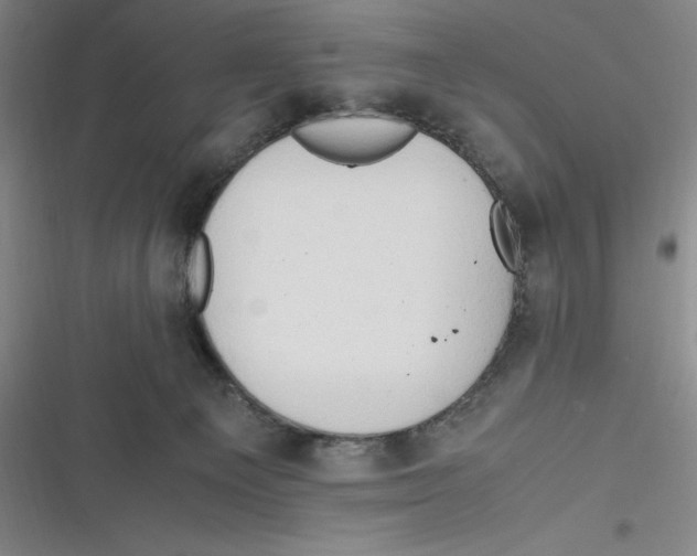 X0000116680129201001111340