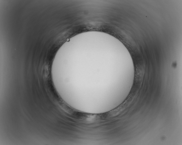 X0000116680130201001111340