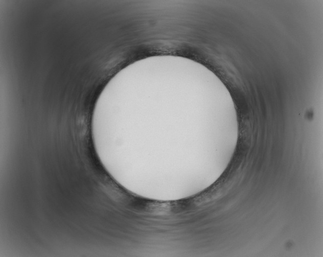 X0000116680131201001111340