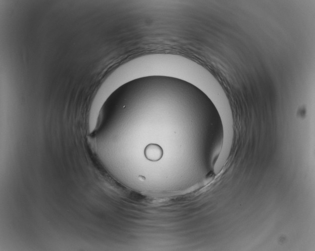 X0000116680132201001111340