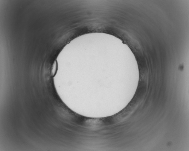 X0000116680133201001111340