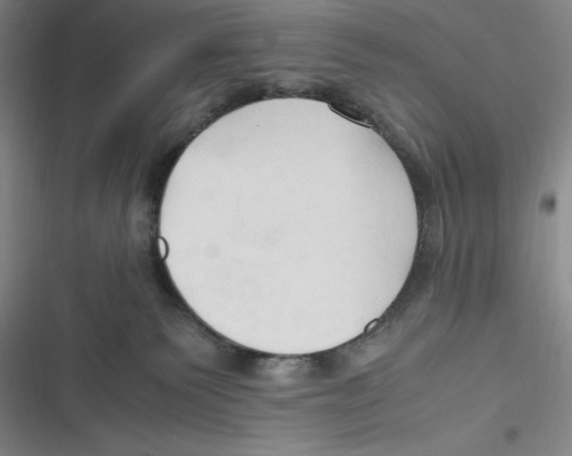 X0000116680135201001111340