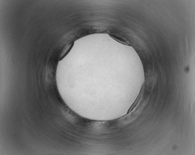 X0000116680136201001111340