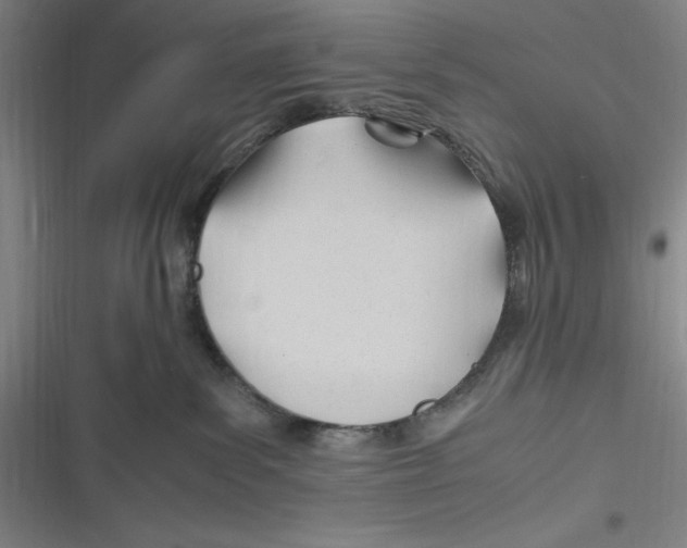 X0000116680139201001111339