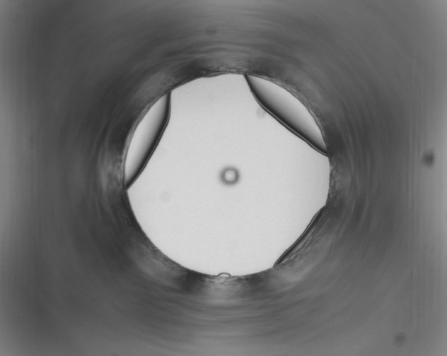 X0000116680141201001111339