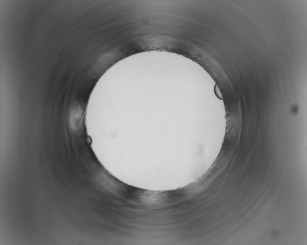 X0000116680142201001111339