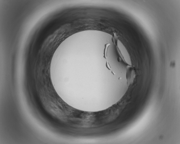 X0000116680143201001111339