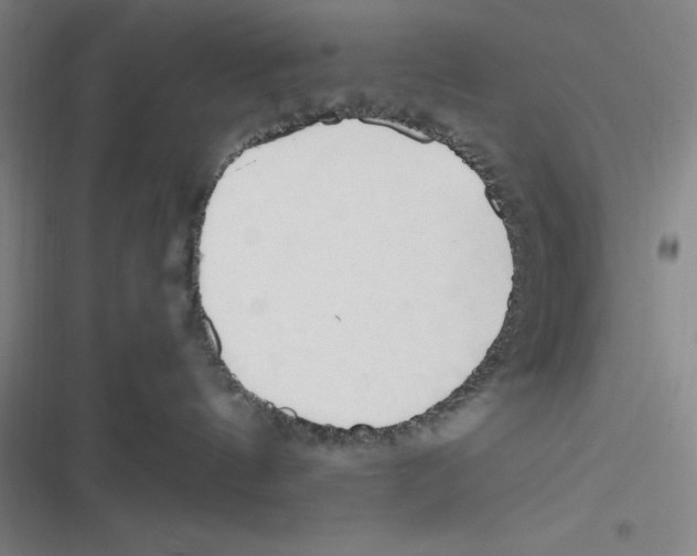 X0000116680144201001111339