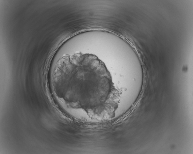 X0000116680145201001111339