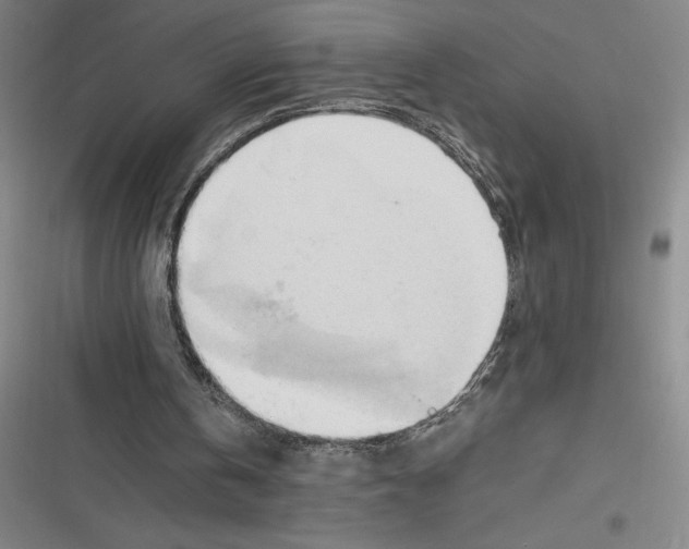 X0000116680146201001111339