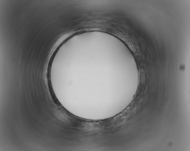 X0000116680147201001111339