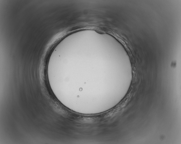 X0000116680149201001111339