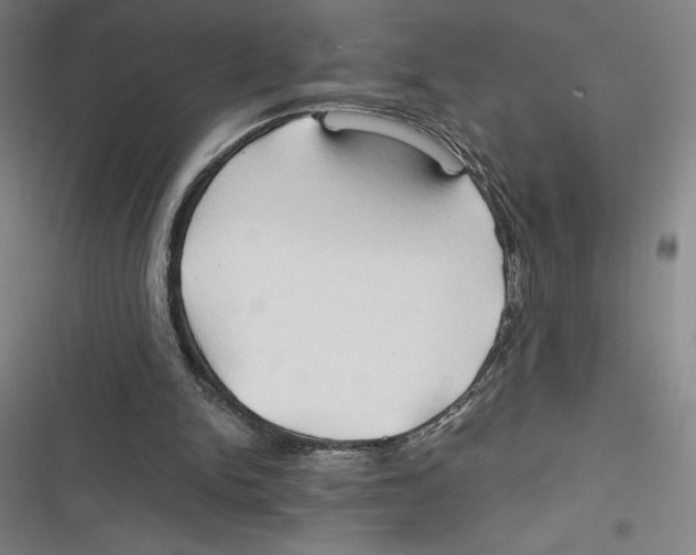 X0000116680150201001111339