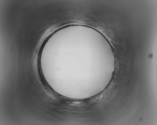 X0000116680151201001111339