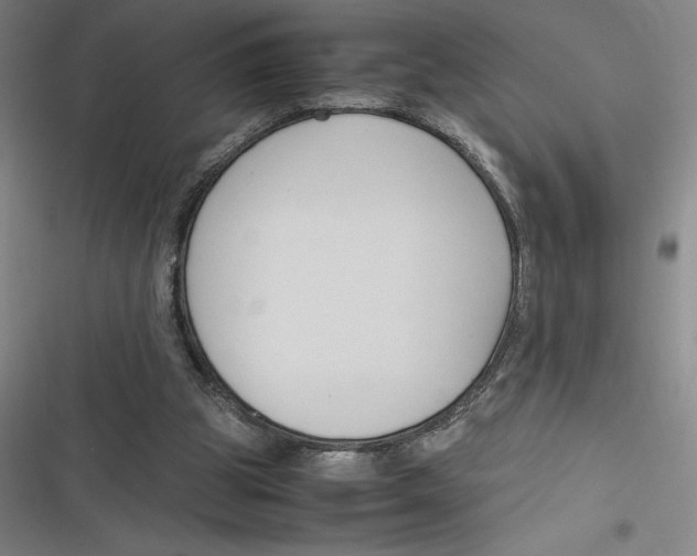 X0000116680153201001111339