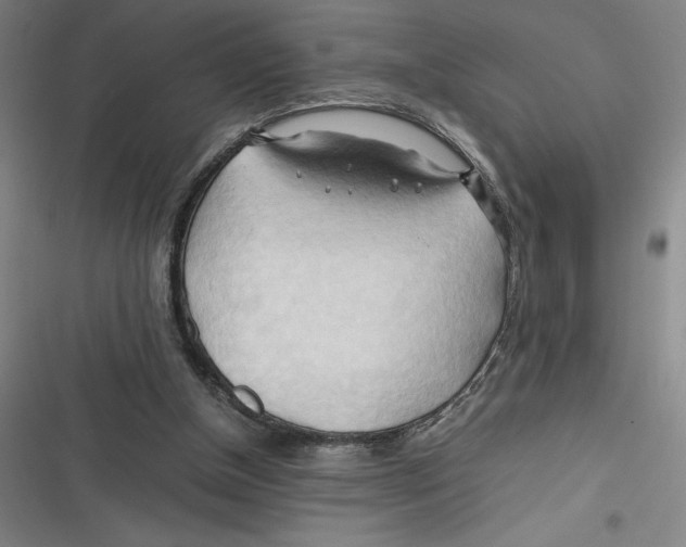 X0000116680154201001111339